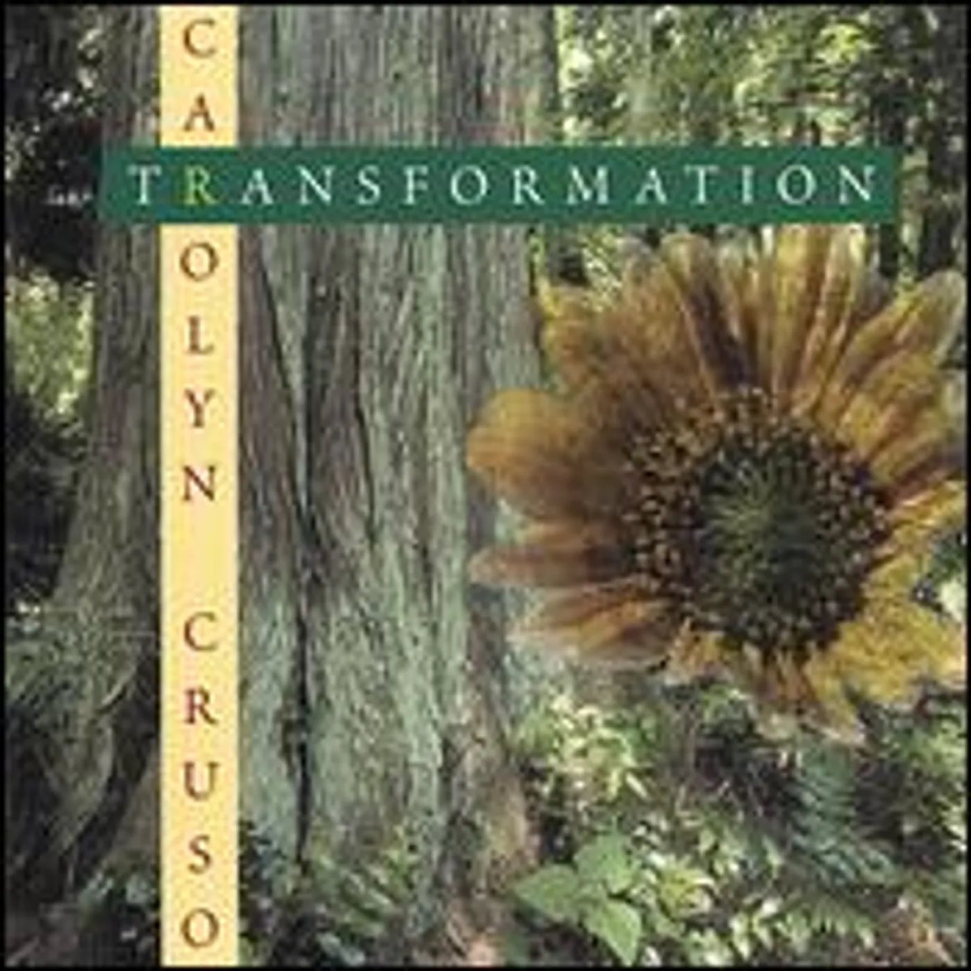 Carolyn Cruso TRANSFORMATION CD