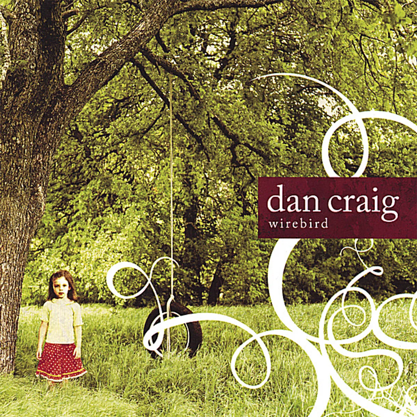 Dan Craig WIREBIRD CD