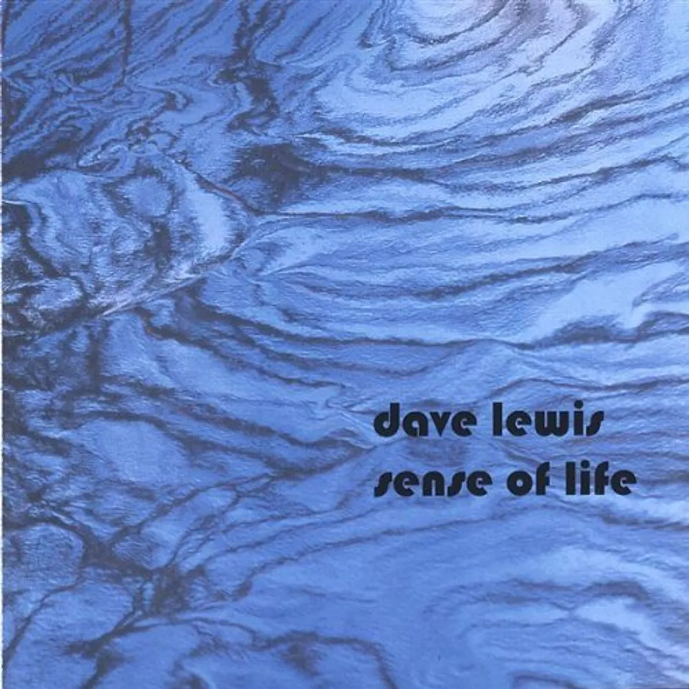 Dave Lewis SENSE OF LIFE CD