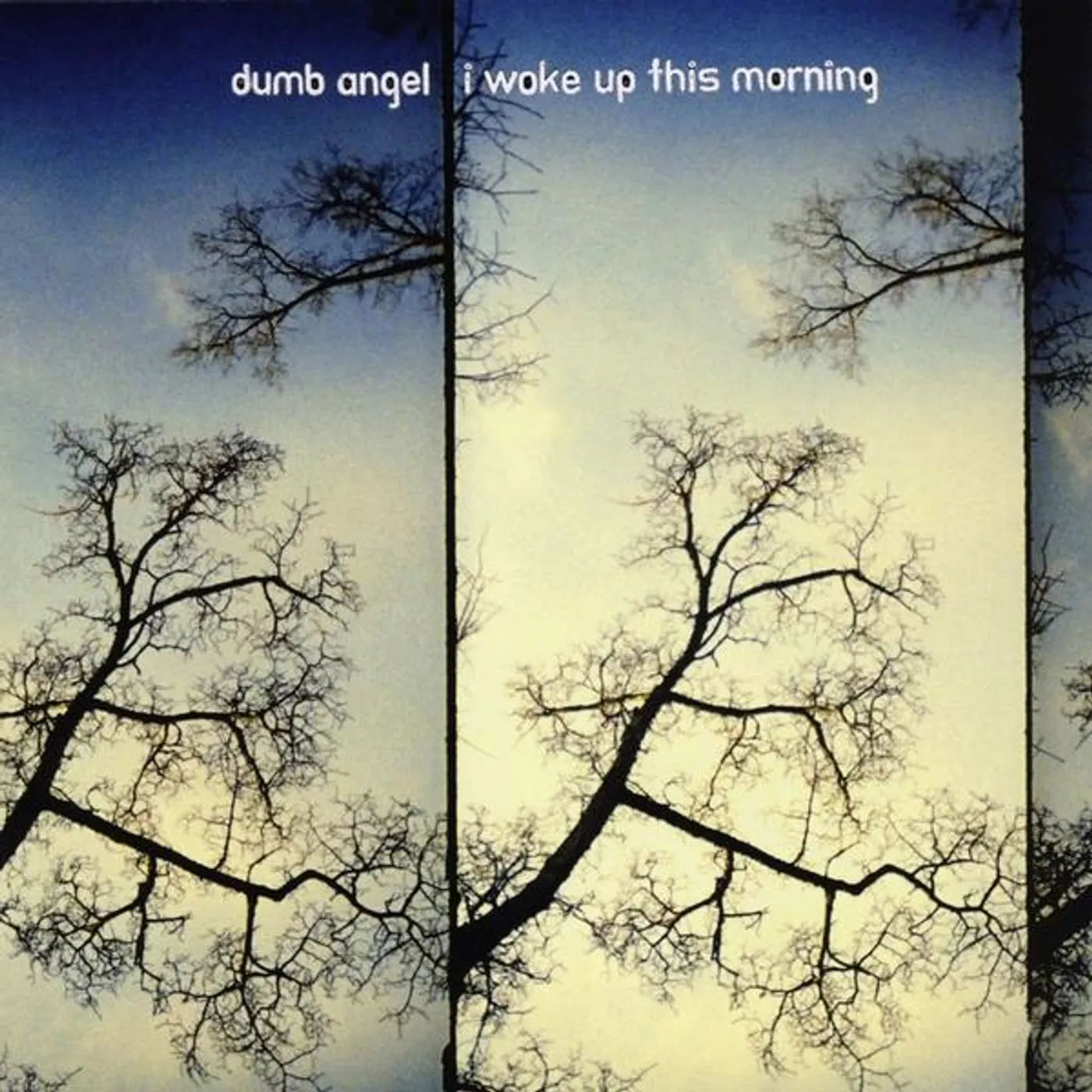 Dumb Angel I WOKE UP THIS MORNING CD
