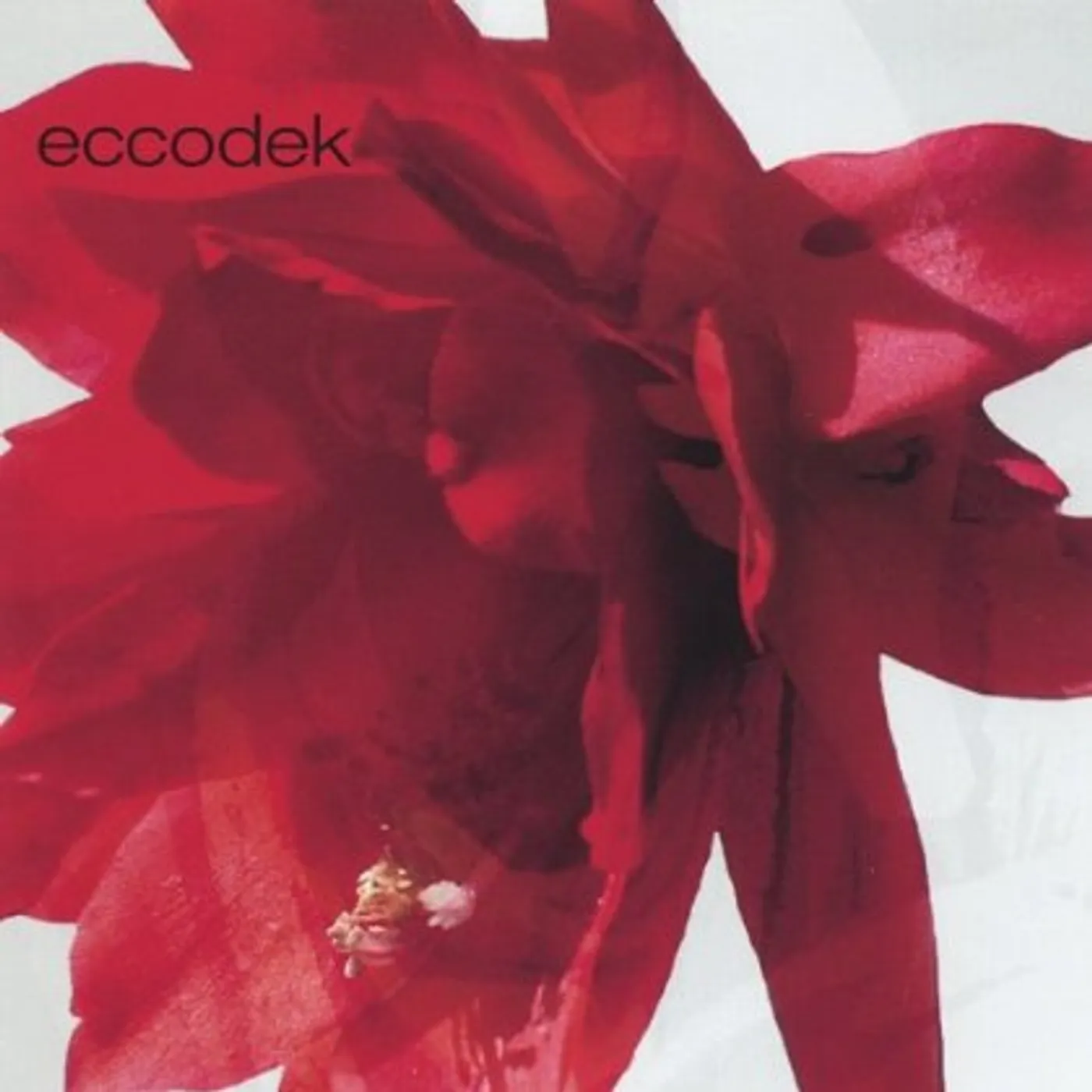 Eccodek MORE AFRICA IN US CD