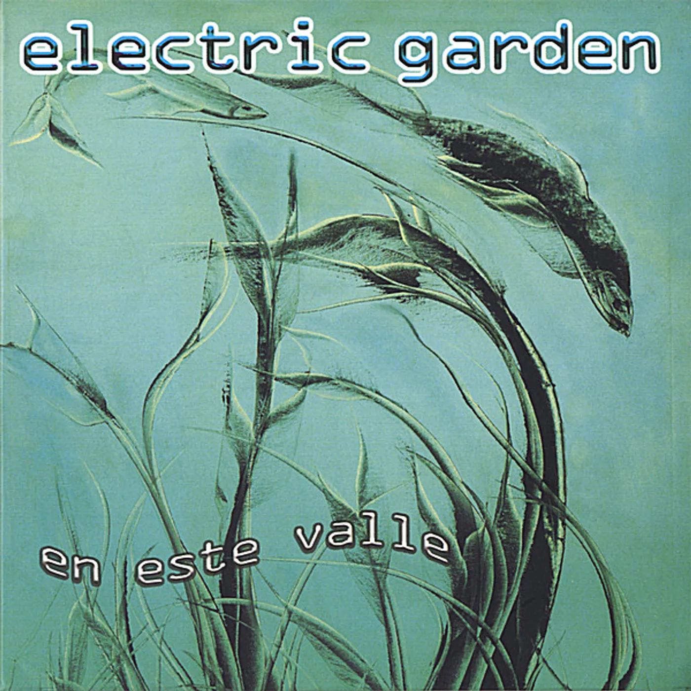 Electric garden EN ESTE VALLE CD