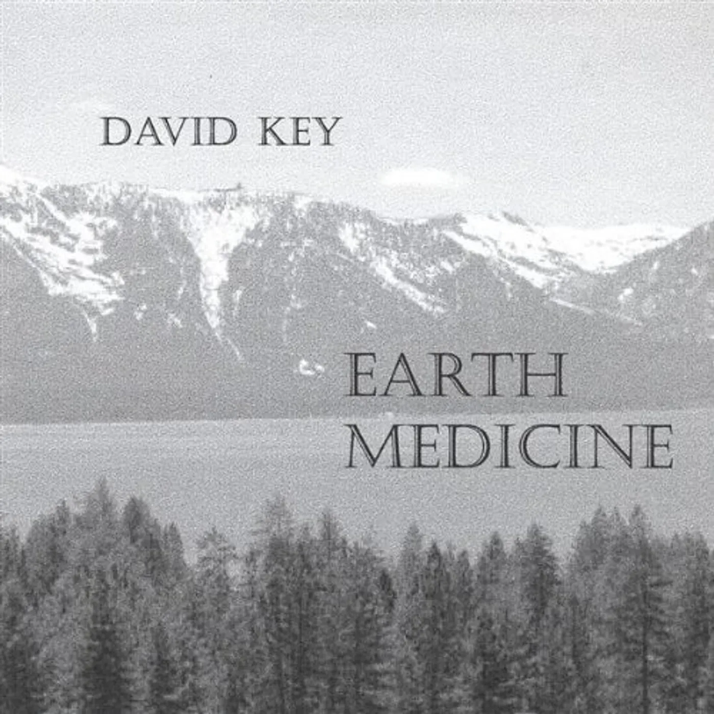 David Key EARTH MEDICINE CD