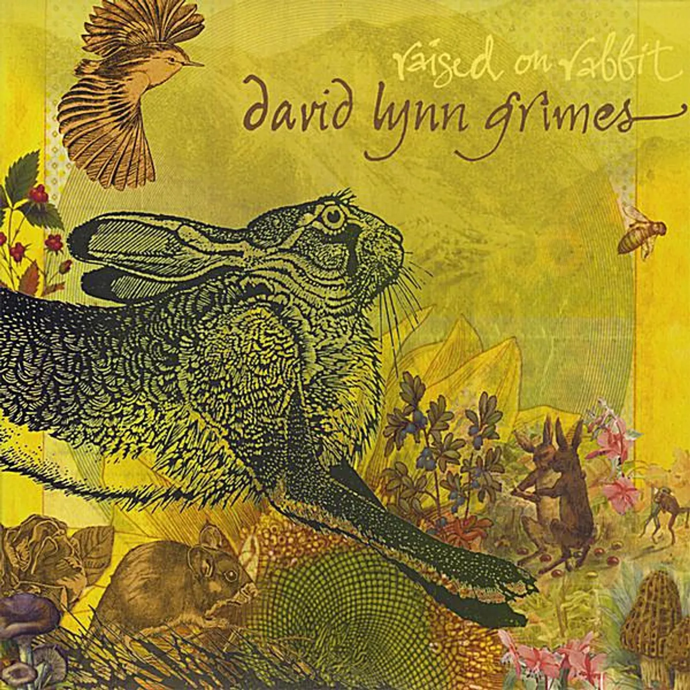 David Lynn Grimes RAISED ON RABBIT CD