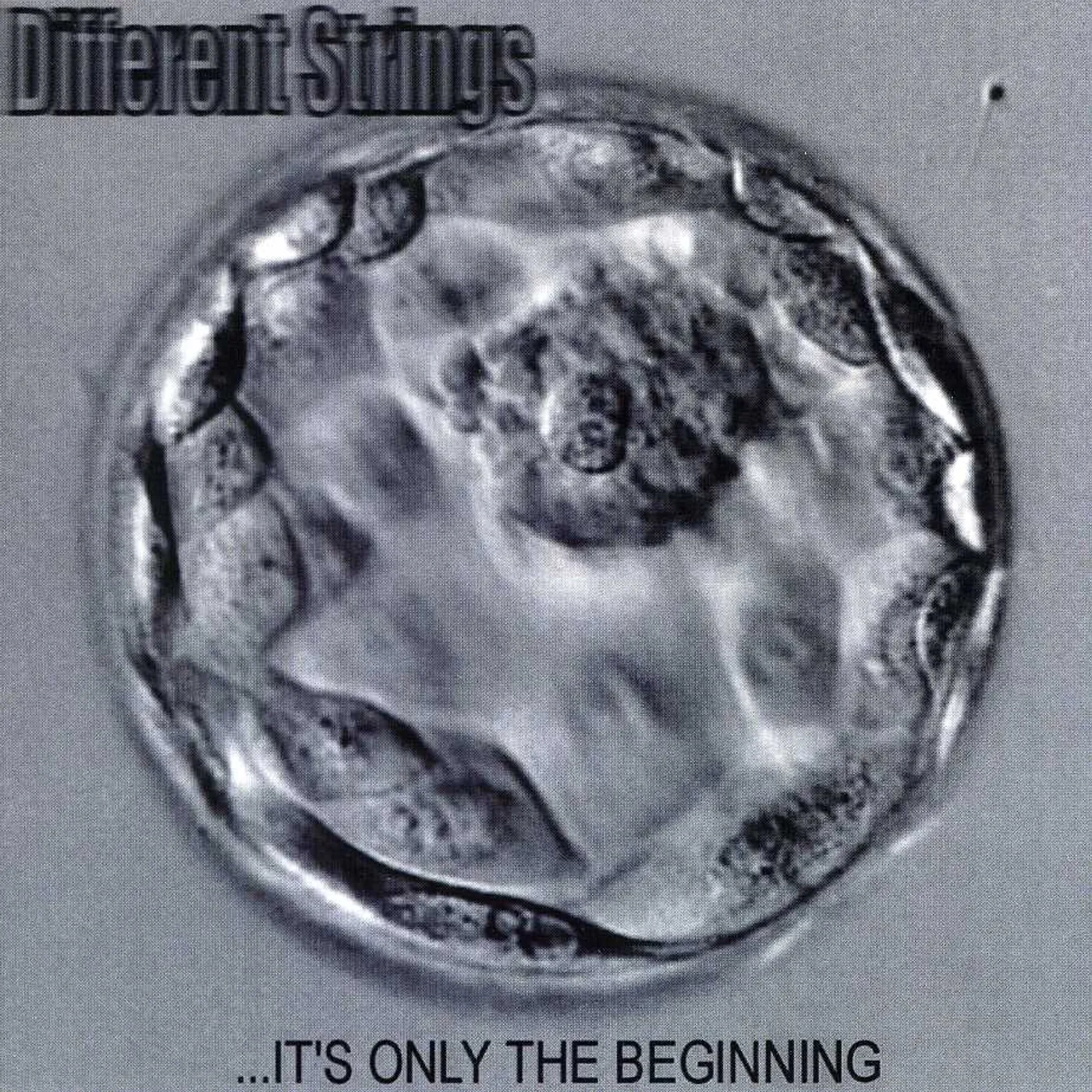 Different Strings IT'S ONLY THE BEGINNING CD