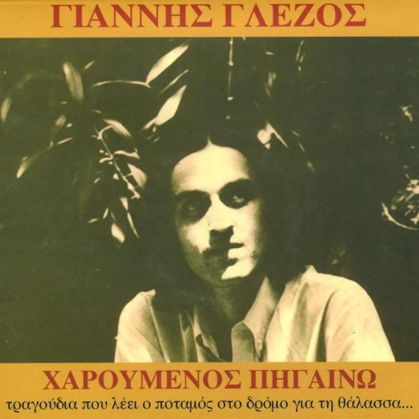 Yiannis Glezos WALKING IN JOY CD