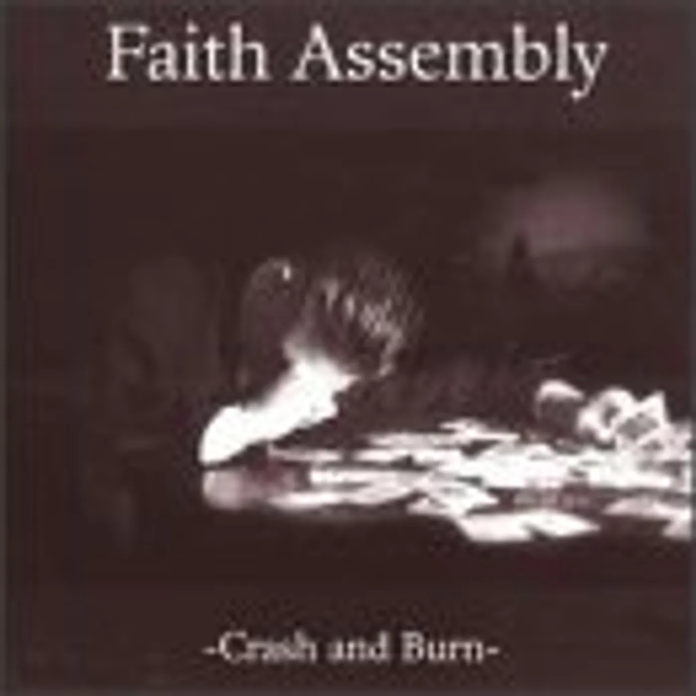 Faith Assembly CRASH & BURN CD