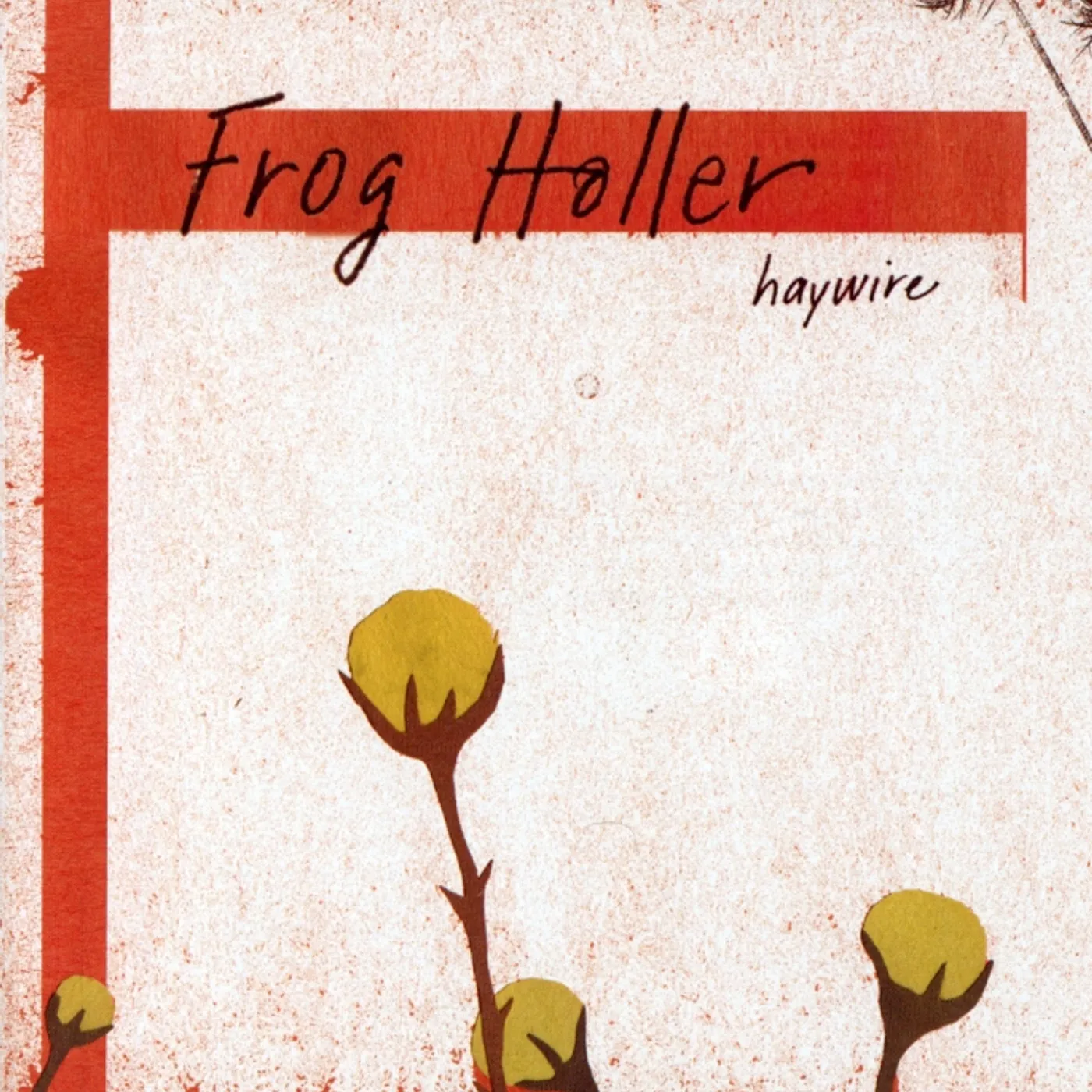 Frog Holler HAYWIRE CD