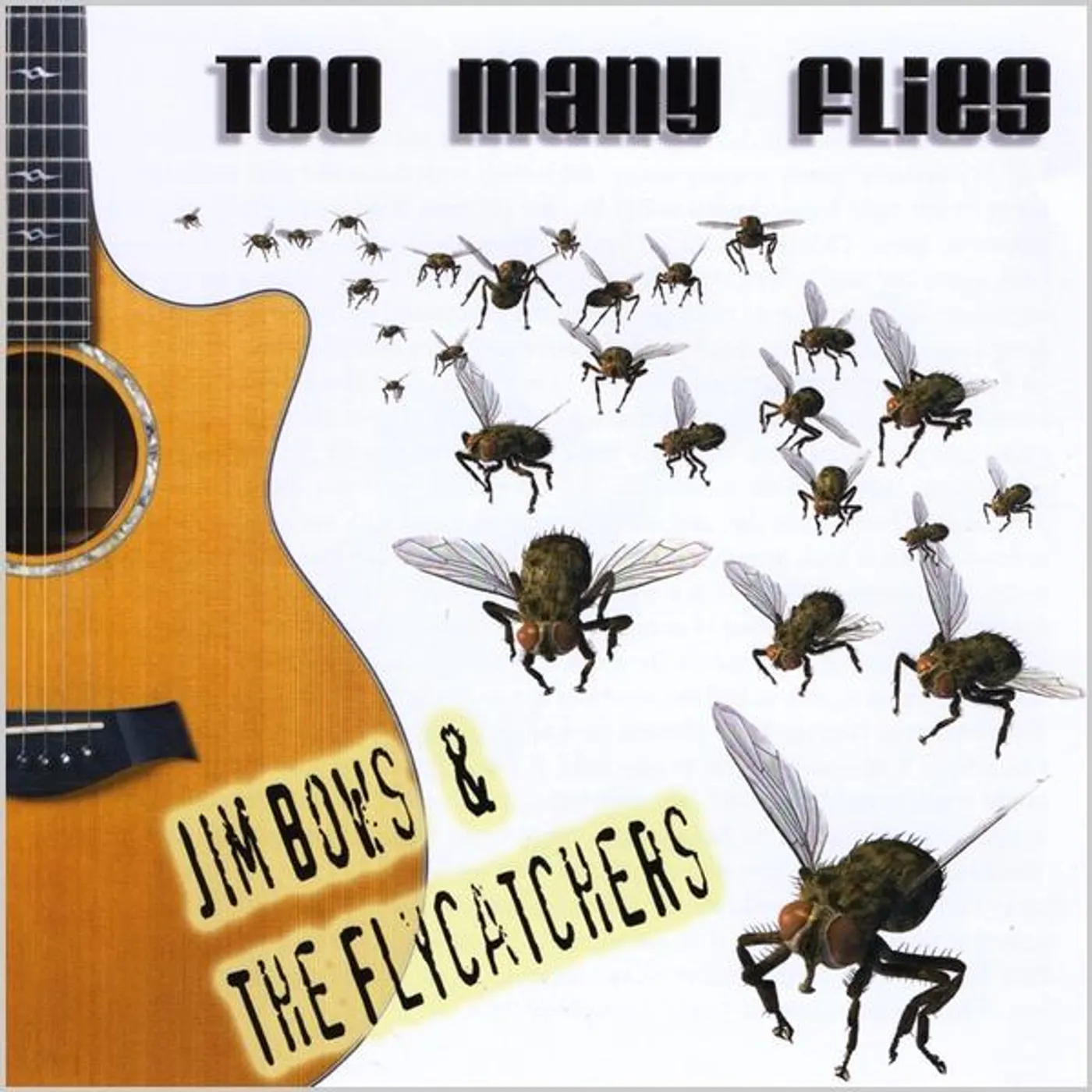 Jim Bows & The Flycatchers TOO MANY FLIES CD
