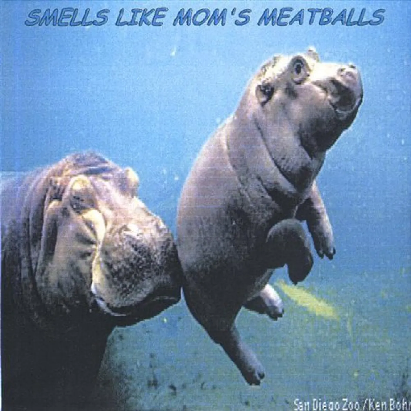 Imsolucki SMELLS LIKE MOMS MEATBALLS CD