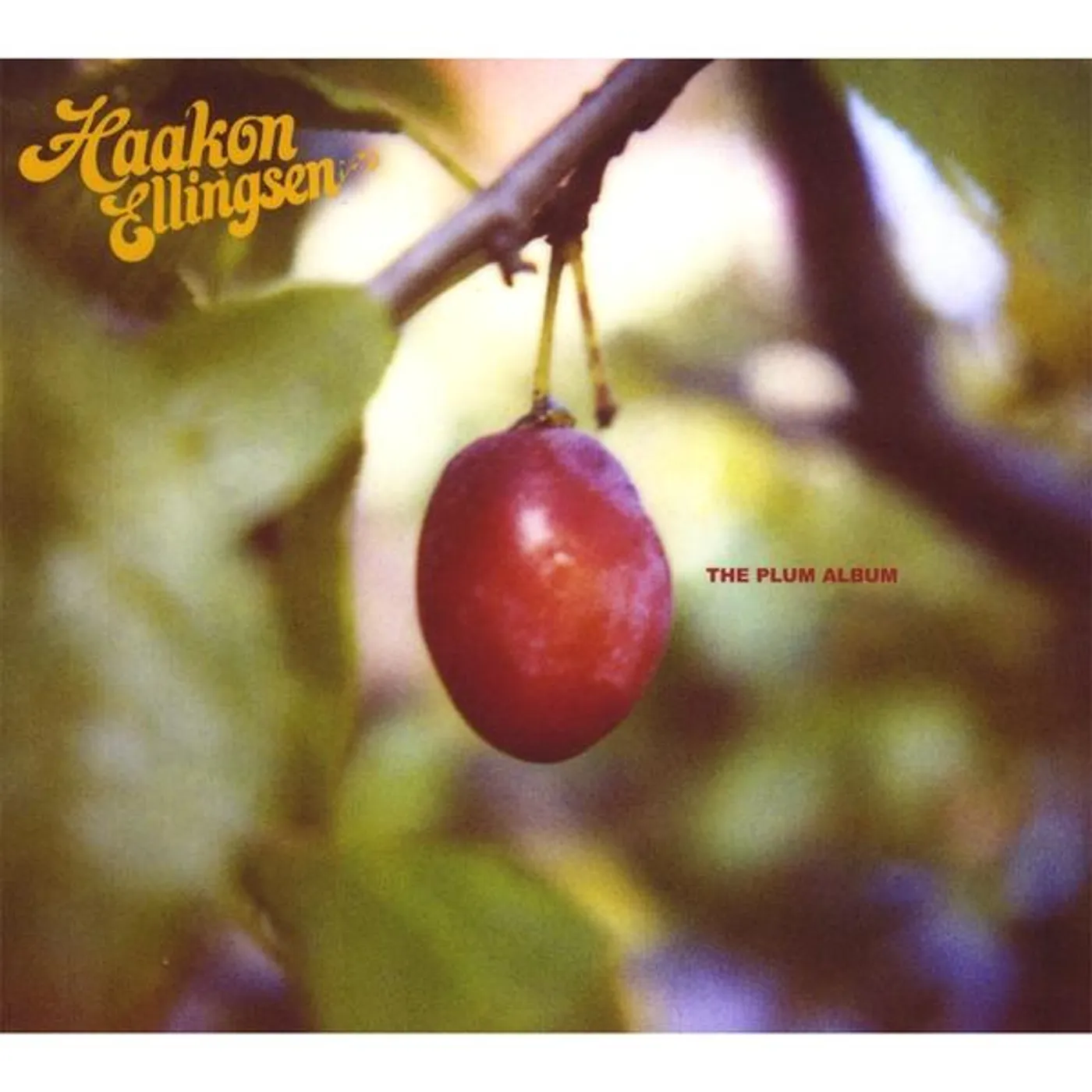 Haakon Ellingsen PLUM ALBUM CD