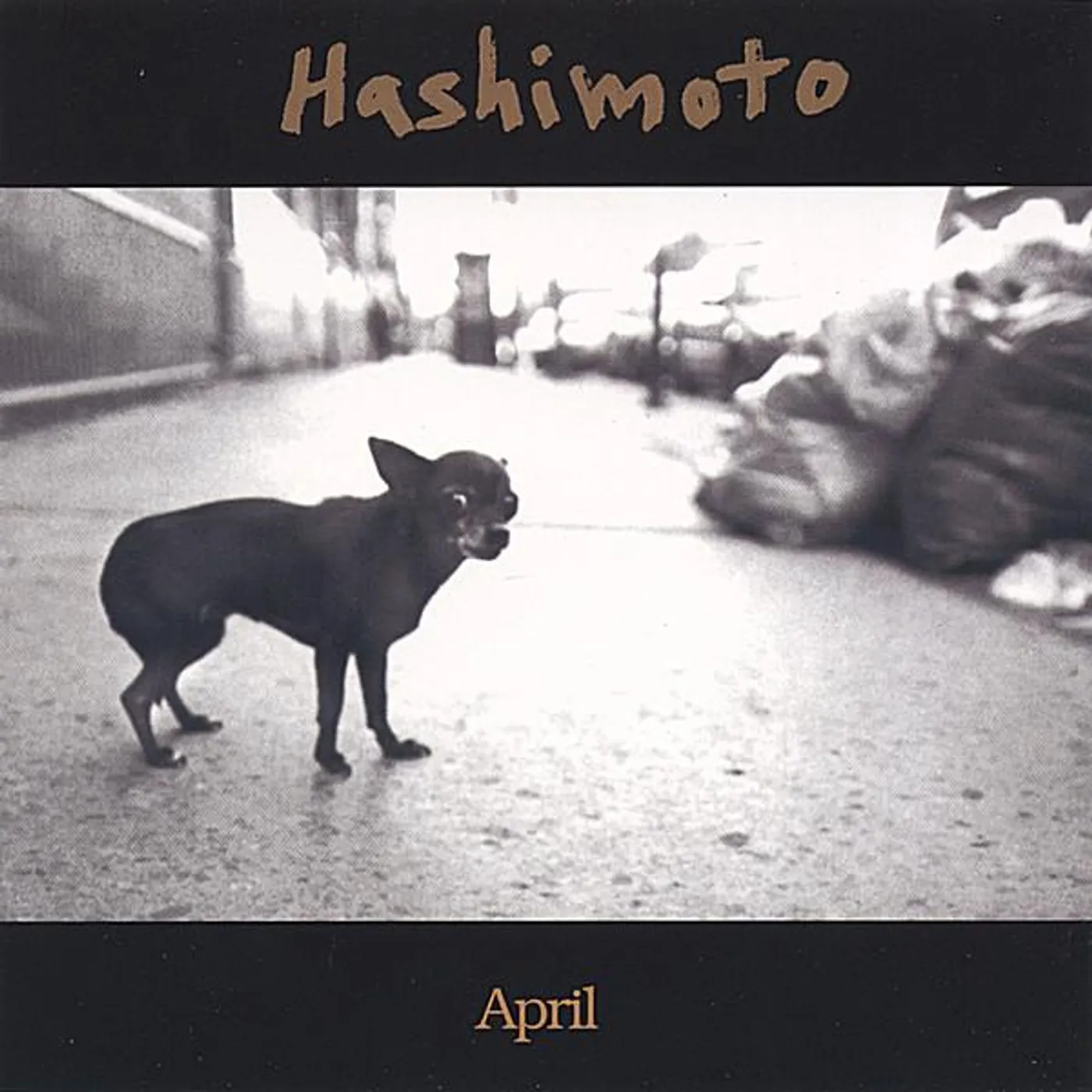 Hashimoto APRIL CD