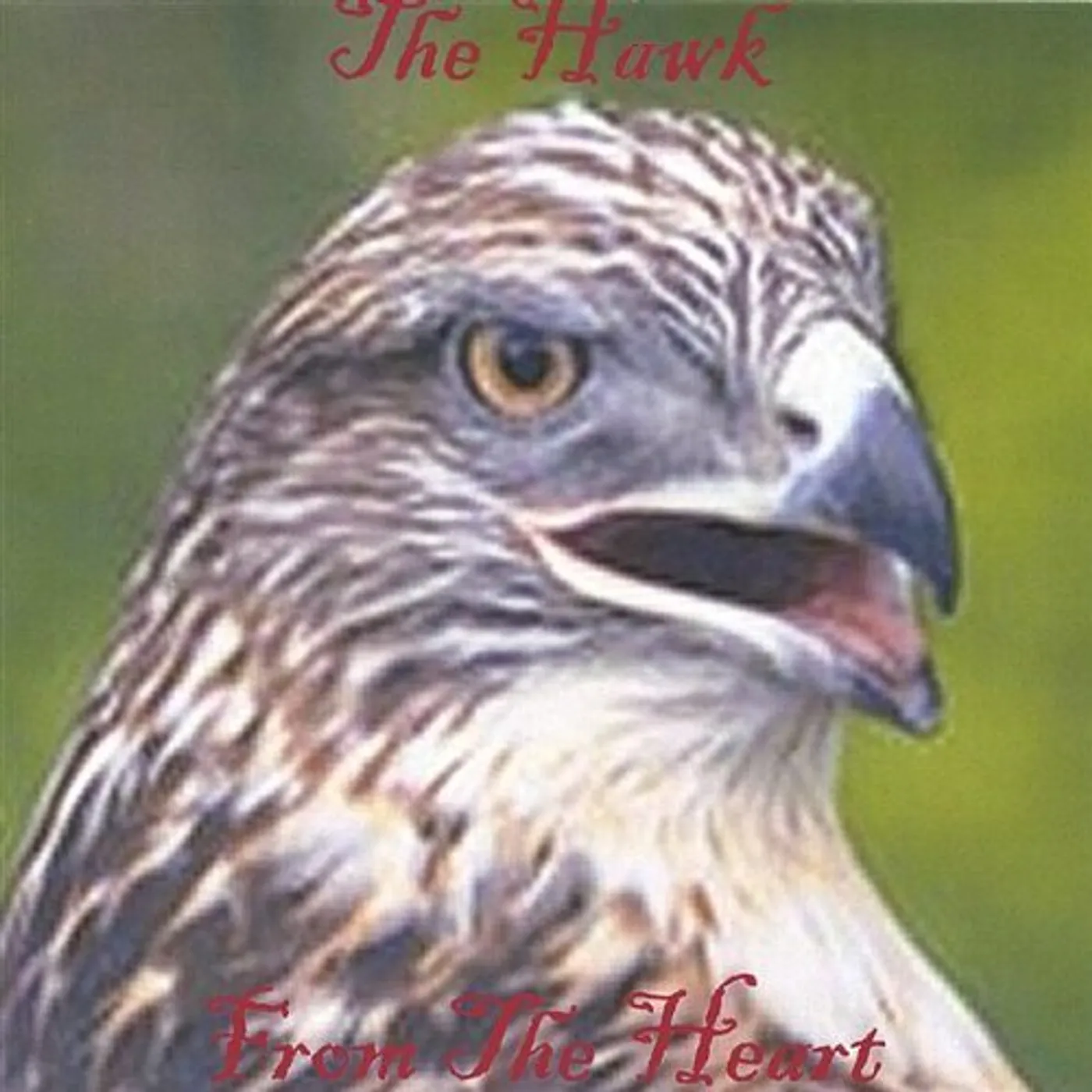 The Hawk FROM THE HEART CD