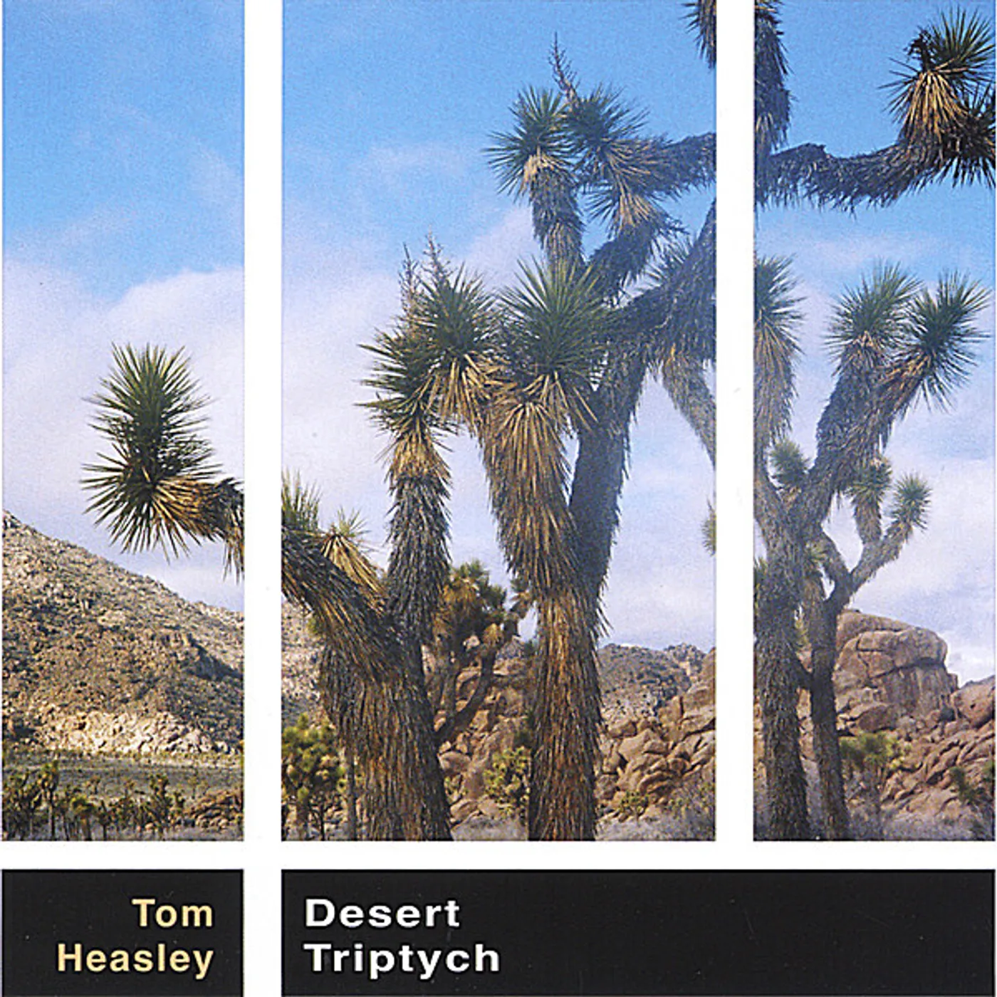 Tom Heasley DESERT TRIPTYCH CD