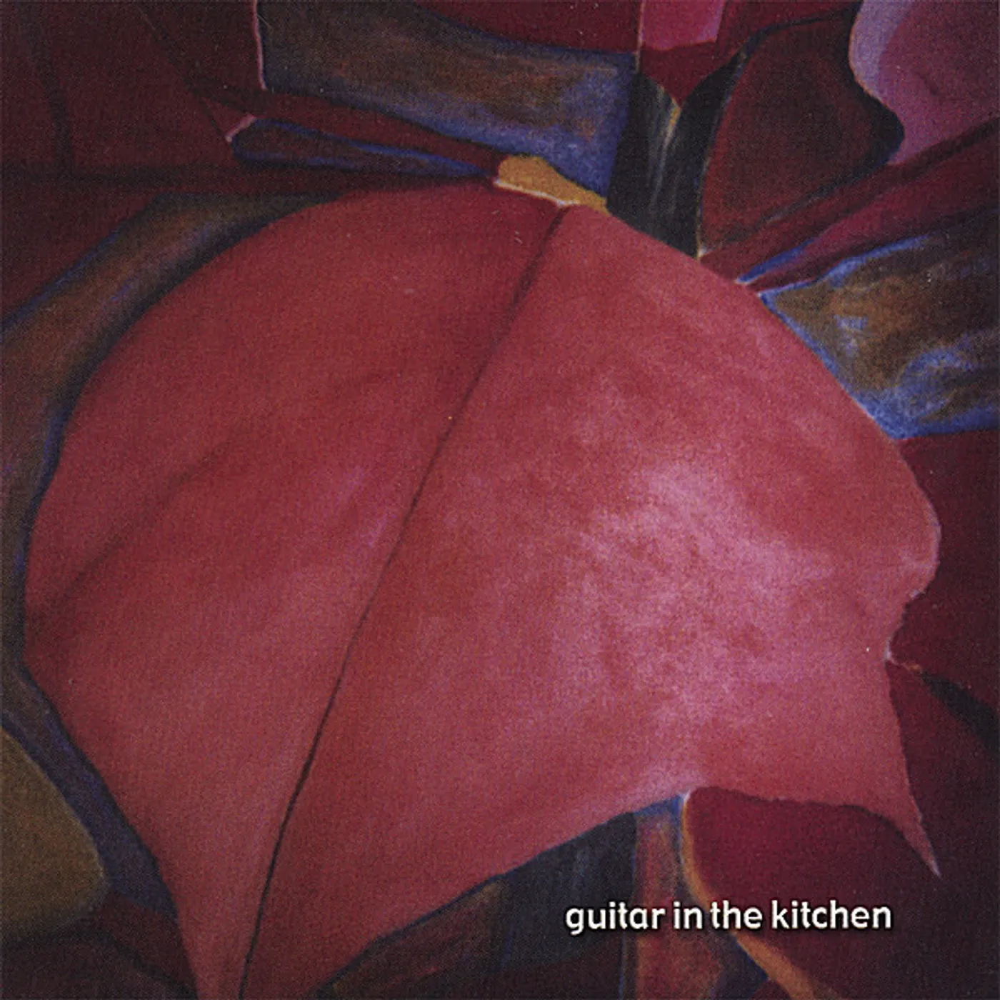 Rudy Perrone GUITAR IN THE KITCHEN CD