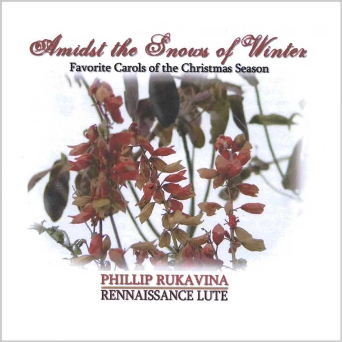 Phillip Rukavina AMIDST THE WINTER SNOWS CD