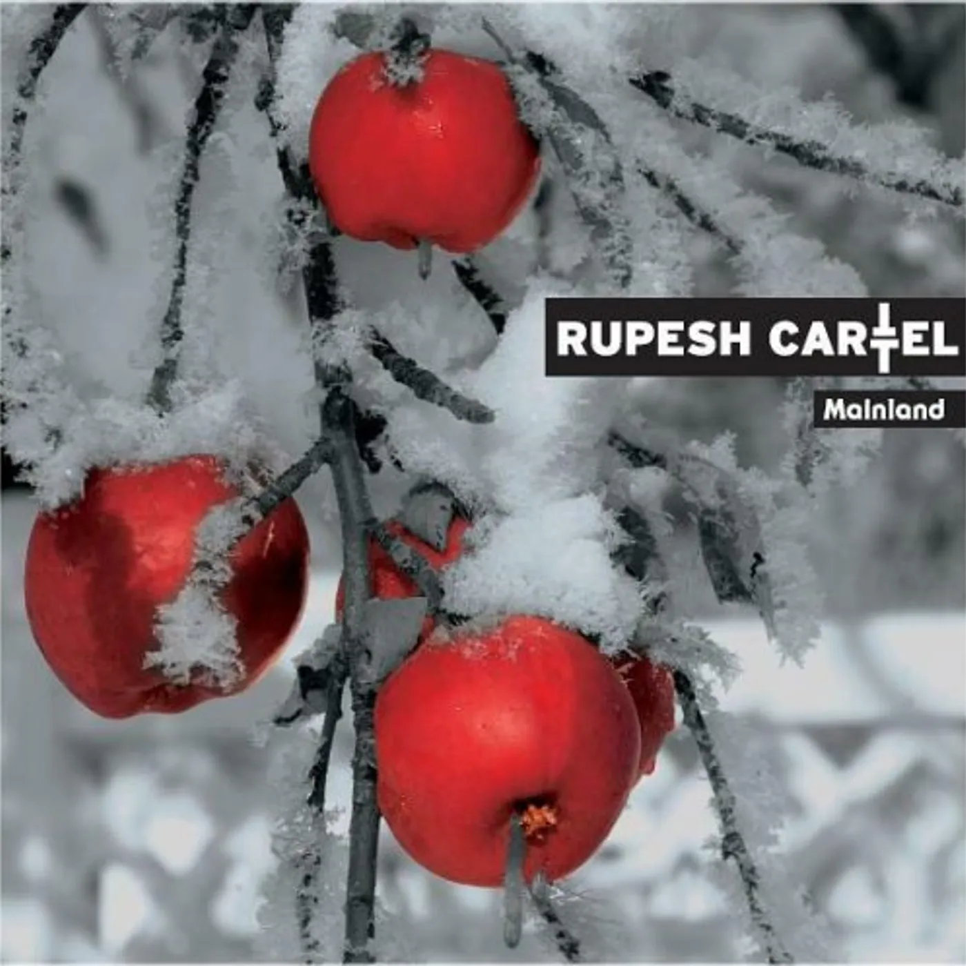Rupesh Cartel MAINLAND CD
