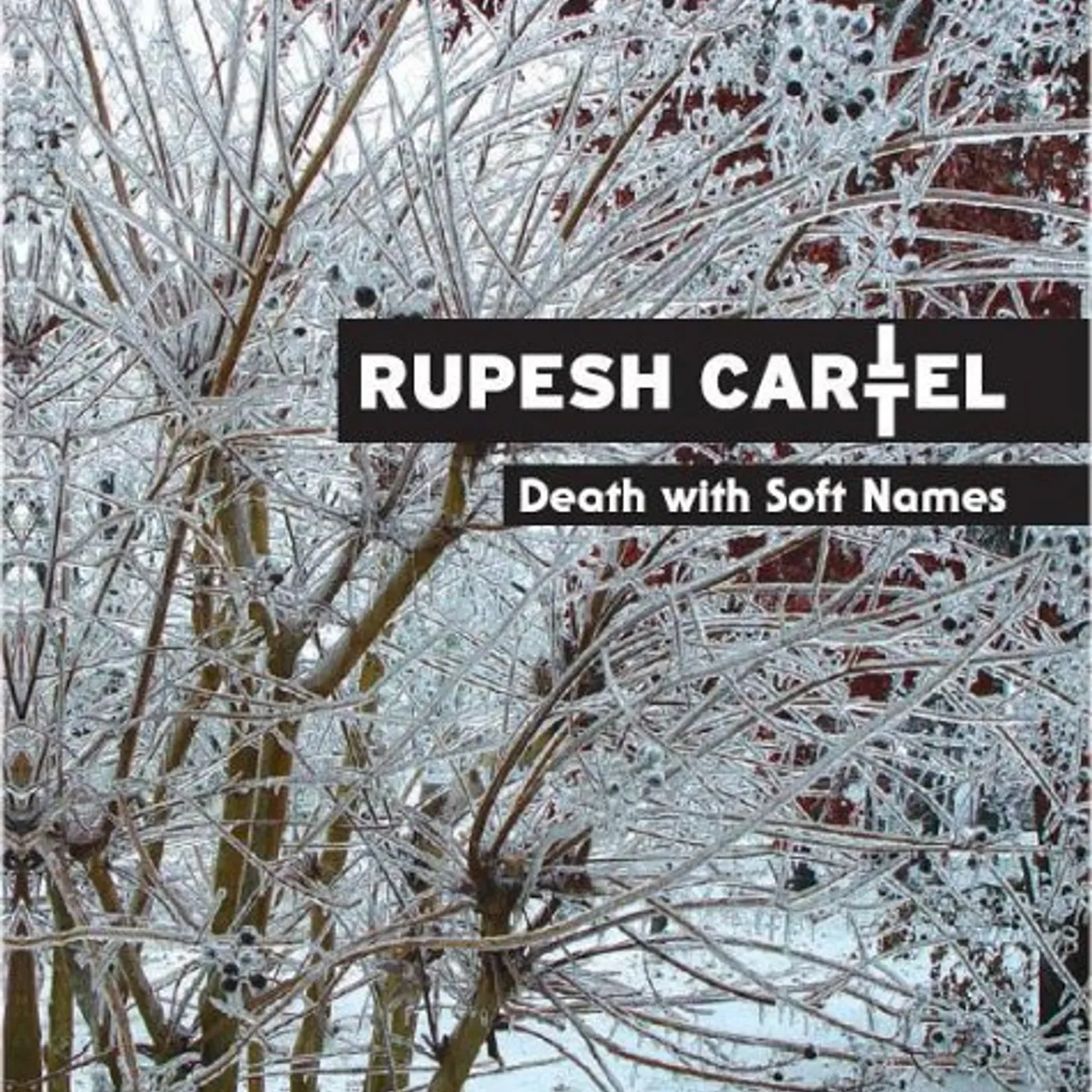 Rupesh Cartel DEATH WITH SOFT NAMES CD