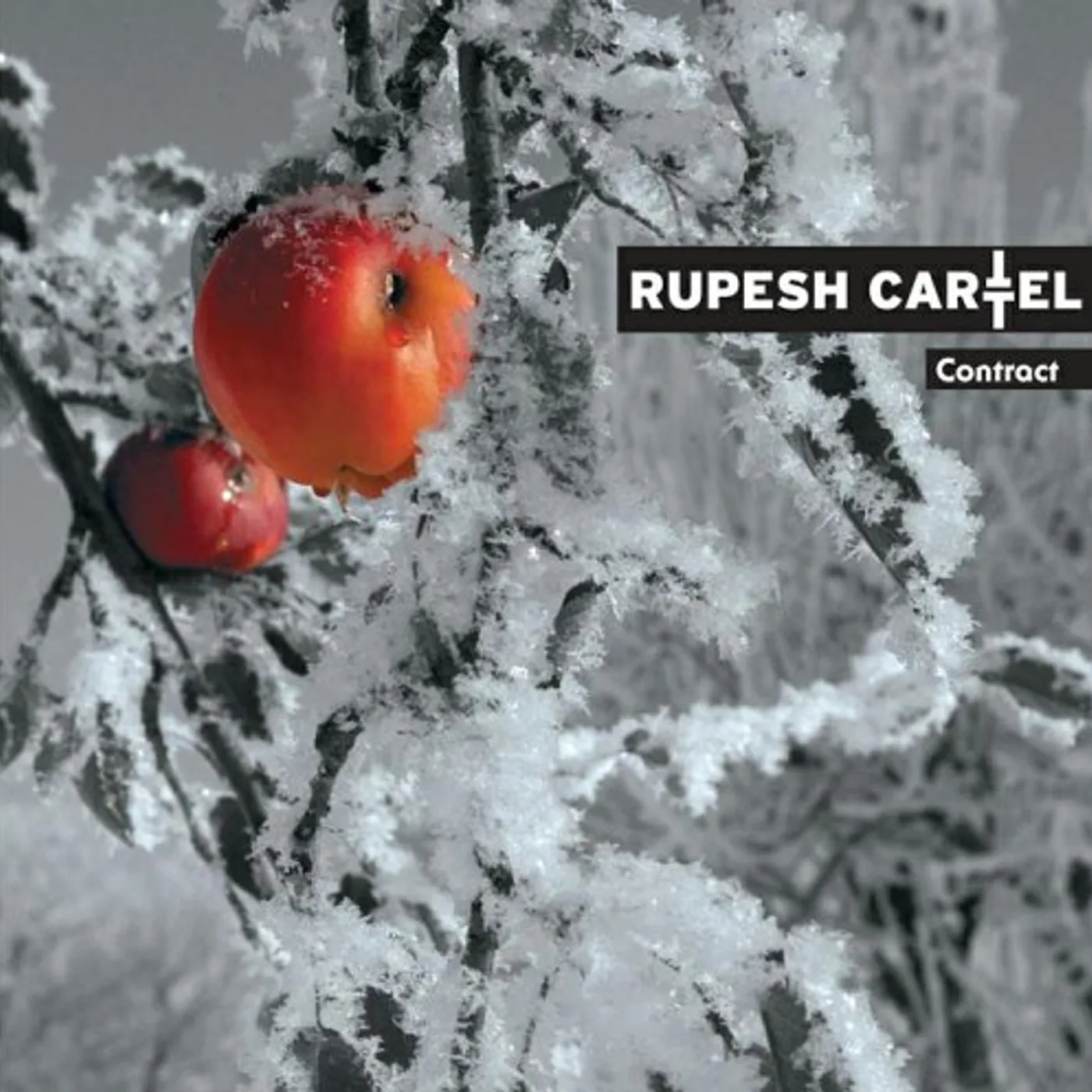 Rupesh Cartel CONTRACT CD