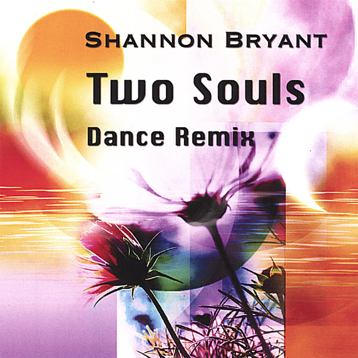 Shannon Bryant TWO SOULS-DANCE REMIX CD