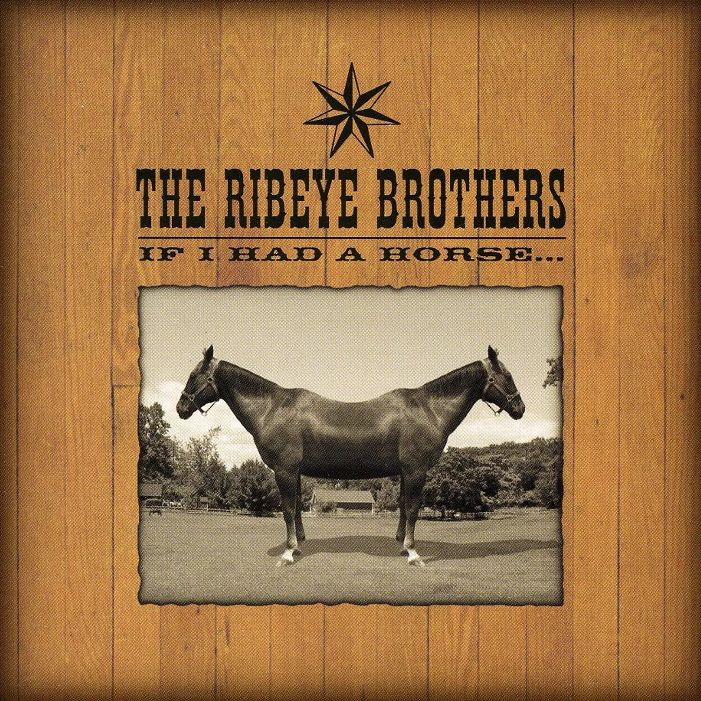 The Ribeye Brothers IF I HAD A HORSE CD