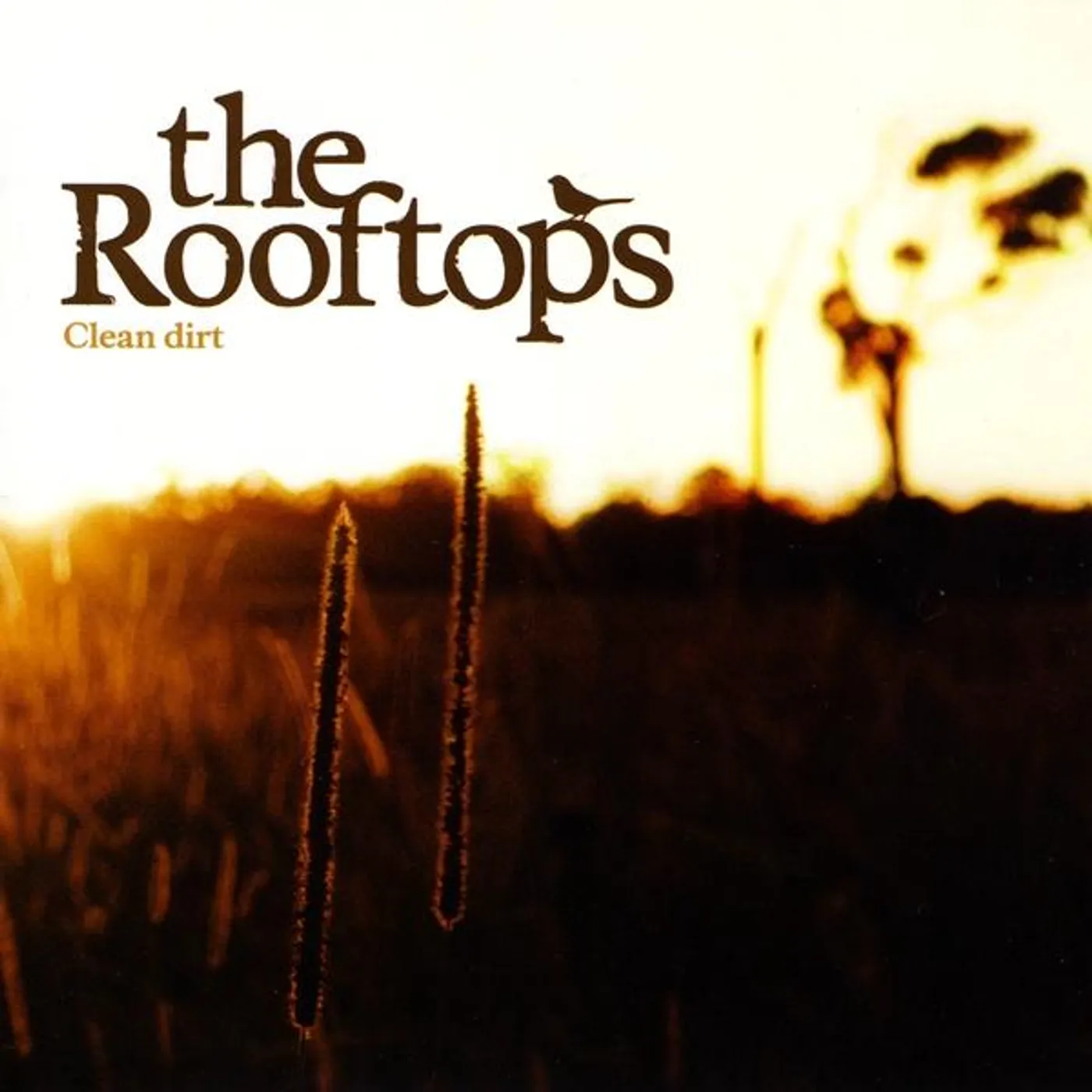 Rooftops CLEAN DIRT CD