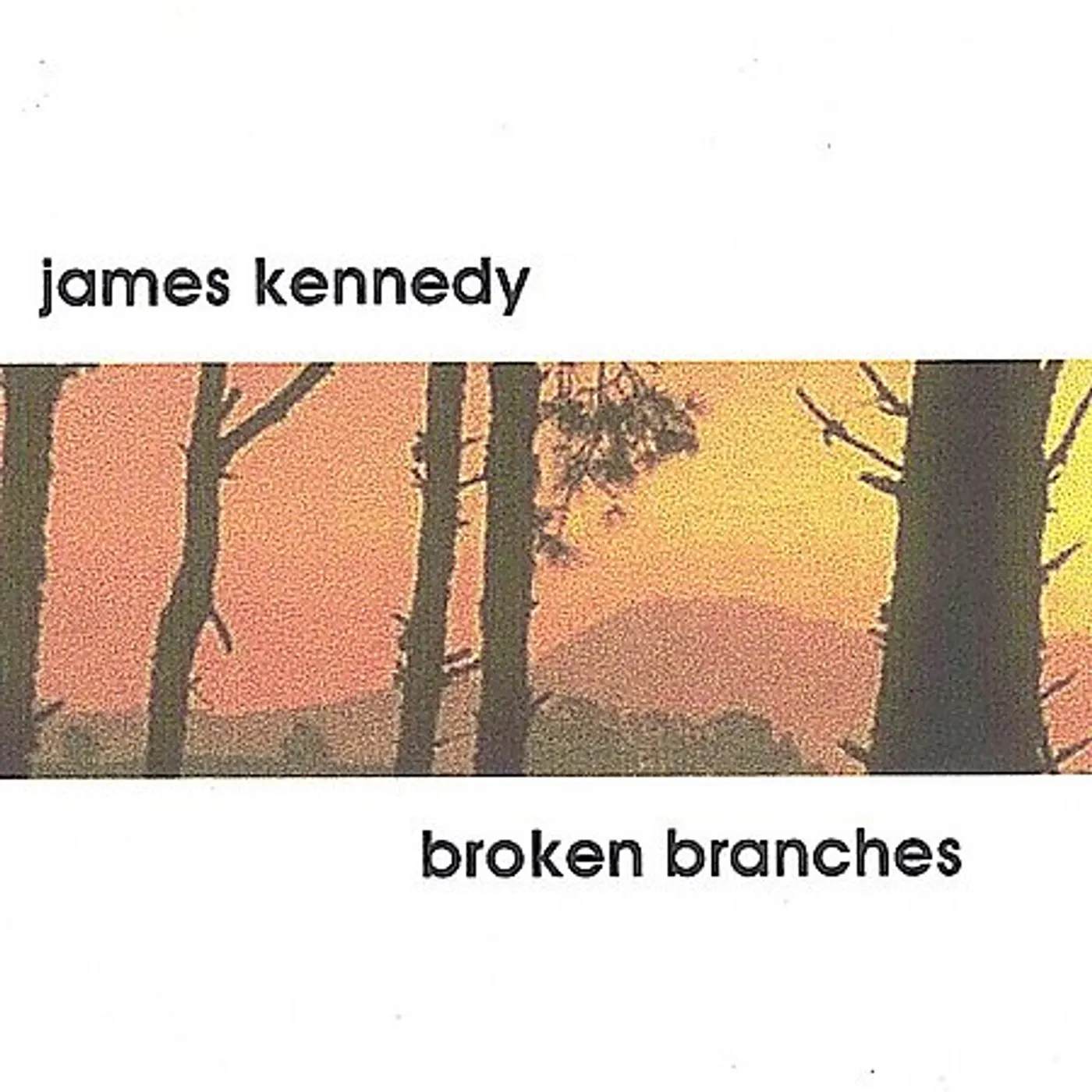 James Kennedy BROKEN BRANCHES CD