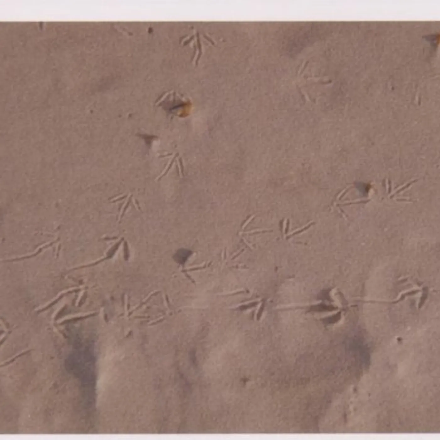 John Butcher 13 FRIENDLY NUMBERS CD