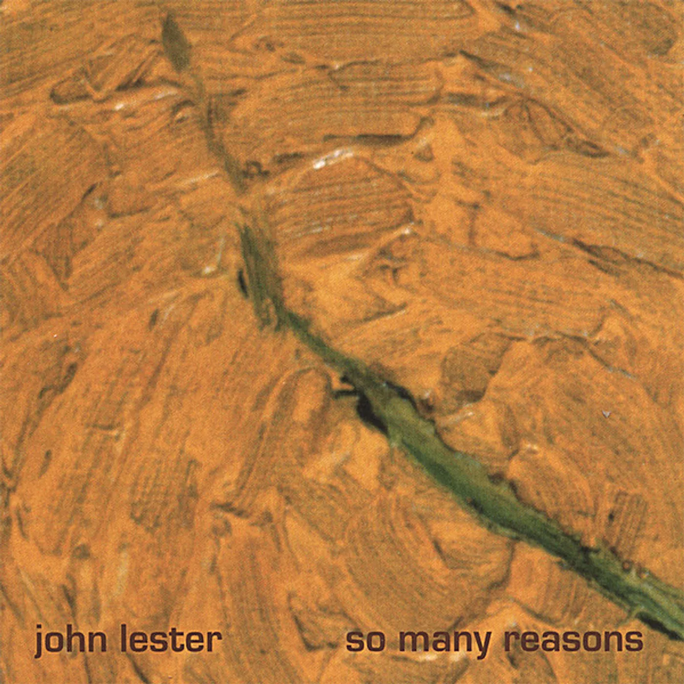 John Lester SO MANY REASONS CD