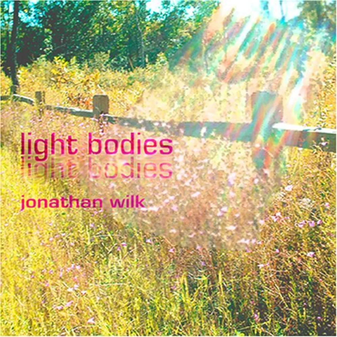 Jonathan Wilk LIGHT BODIES CD