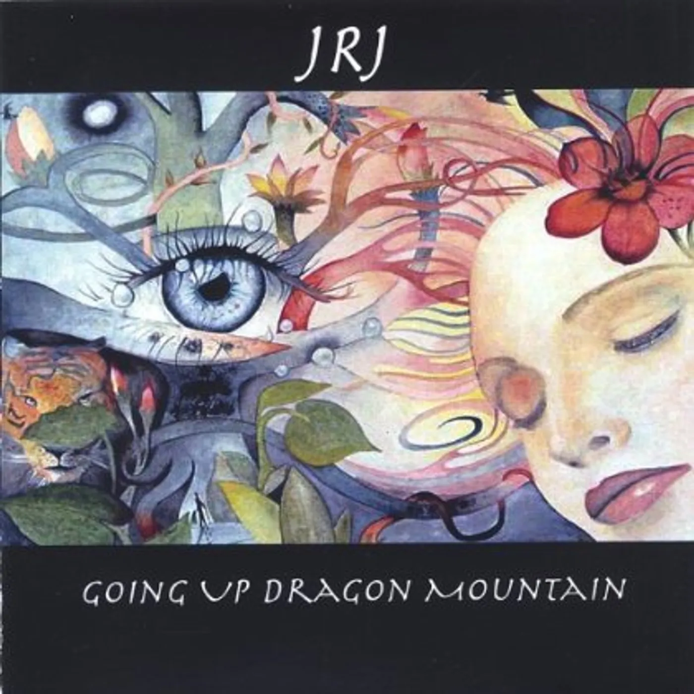 JRJ GOING UP DRAGON MOUNTAIN CD