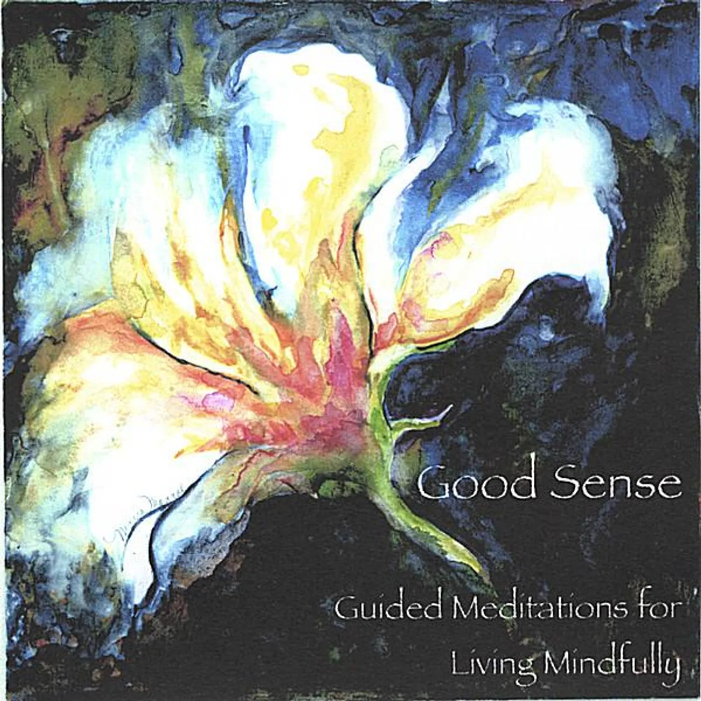 Judith Day GOOD SENSE GUIDED MEDITATIONS FOR LIVING MINDFULLY CD