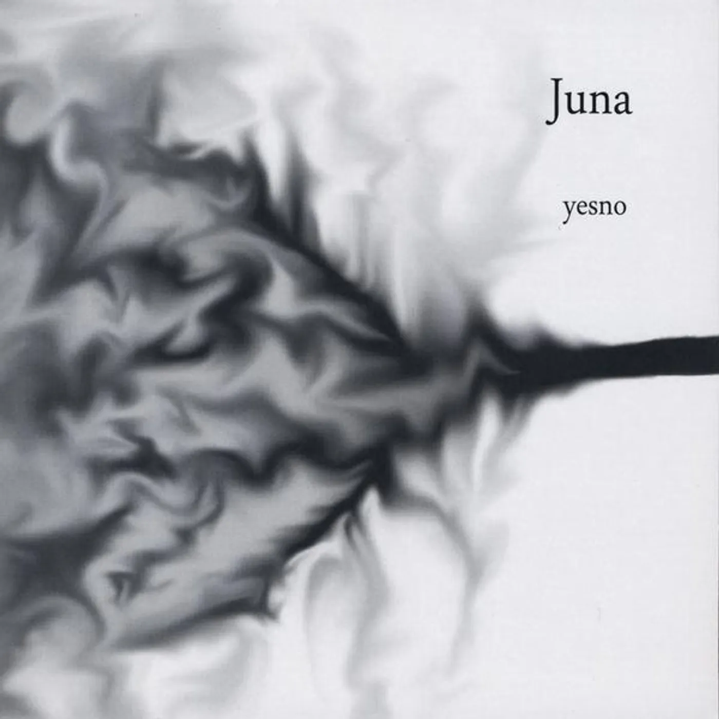Juna YESNO CD