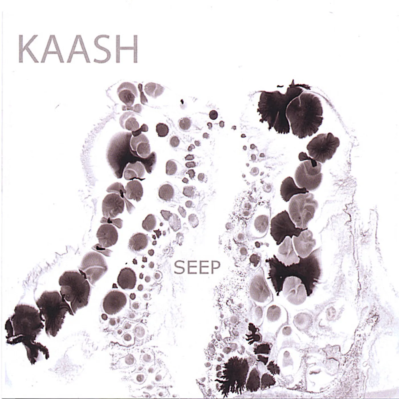 Kaash SEEP CD