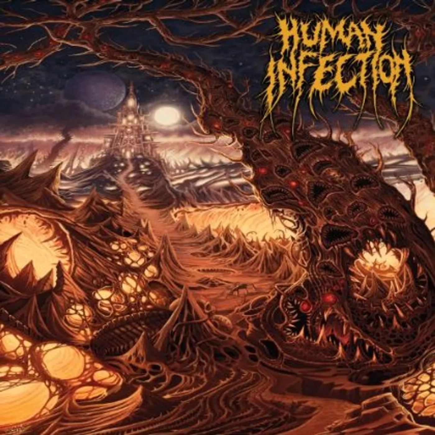 Human Infection CURVATURES IN TIME CD
