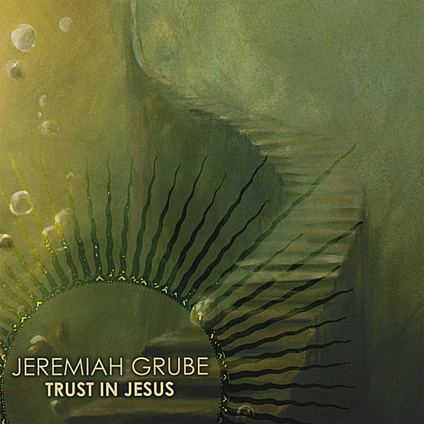 Jeremiah Grube TRUST IN JESUS CD