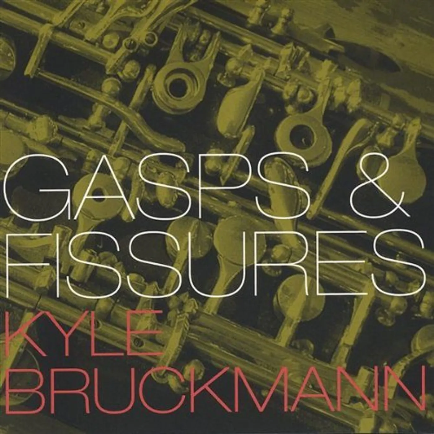 Kyle Bruckmann GASPS & FISSURES CD