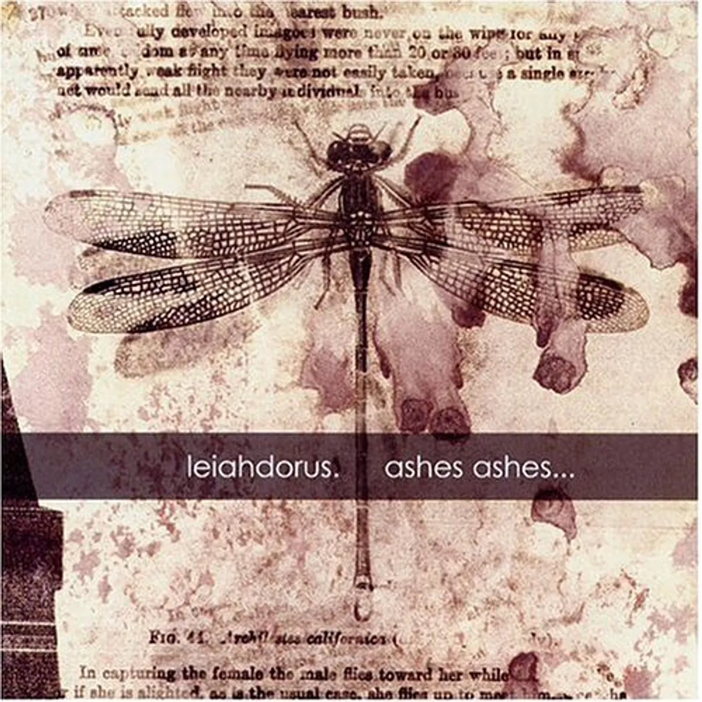 Leiahdorus ASHES ASHES CD
