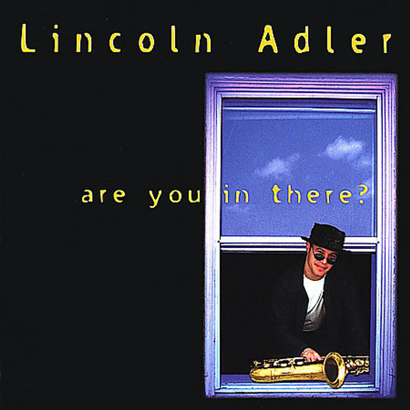 Lincoln Adler ARE YOU IN THERE? CD