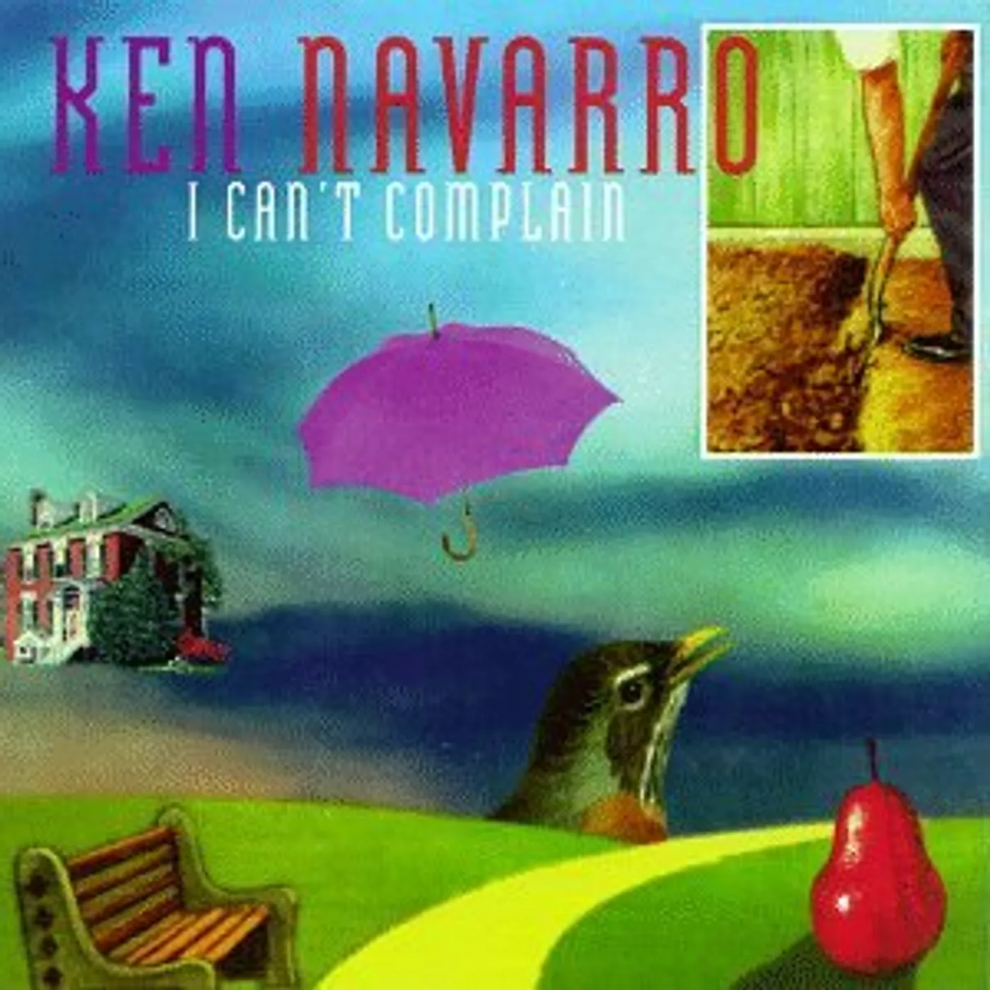 Ken Navarro I CAN'T COMPLAIN CD