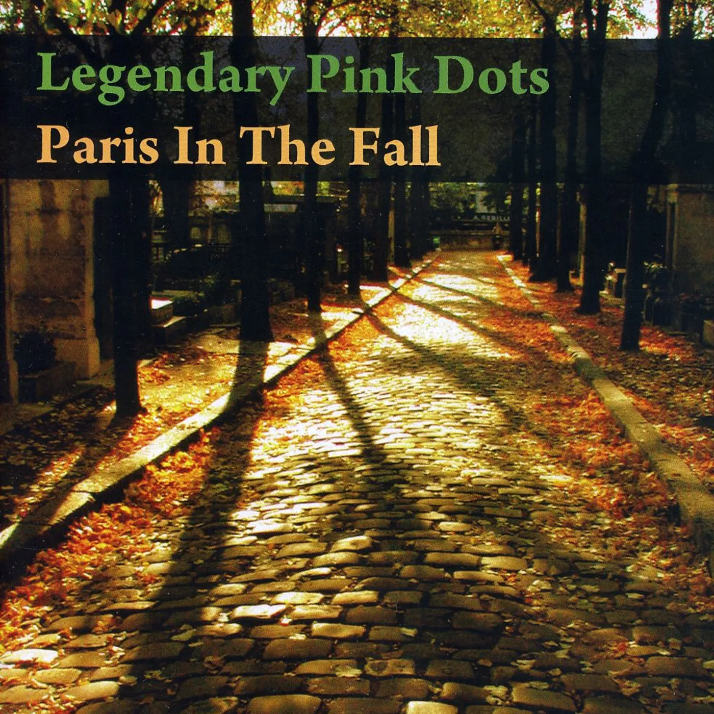 The Legendary Pink Dots PARIS INTHE FALL DVD