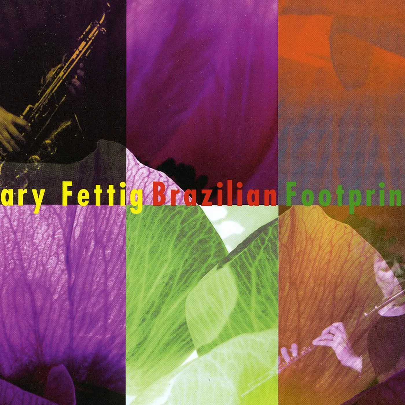 Mary Fettig BRAZILIAN FOOTPRINTS CD
