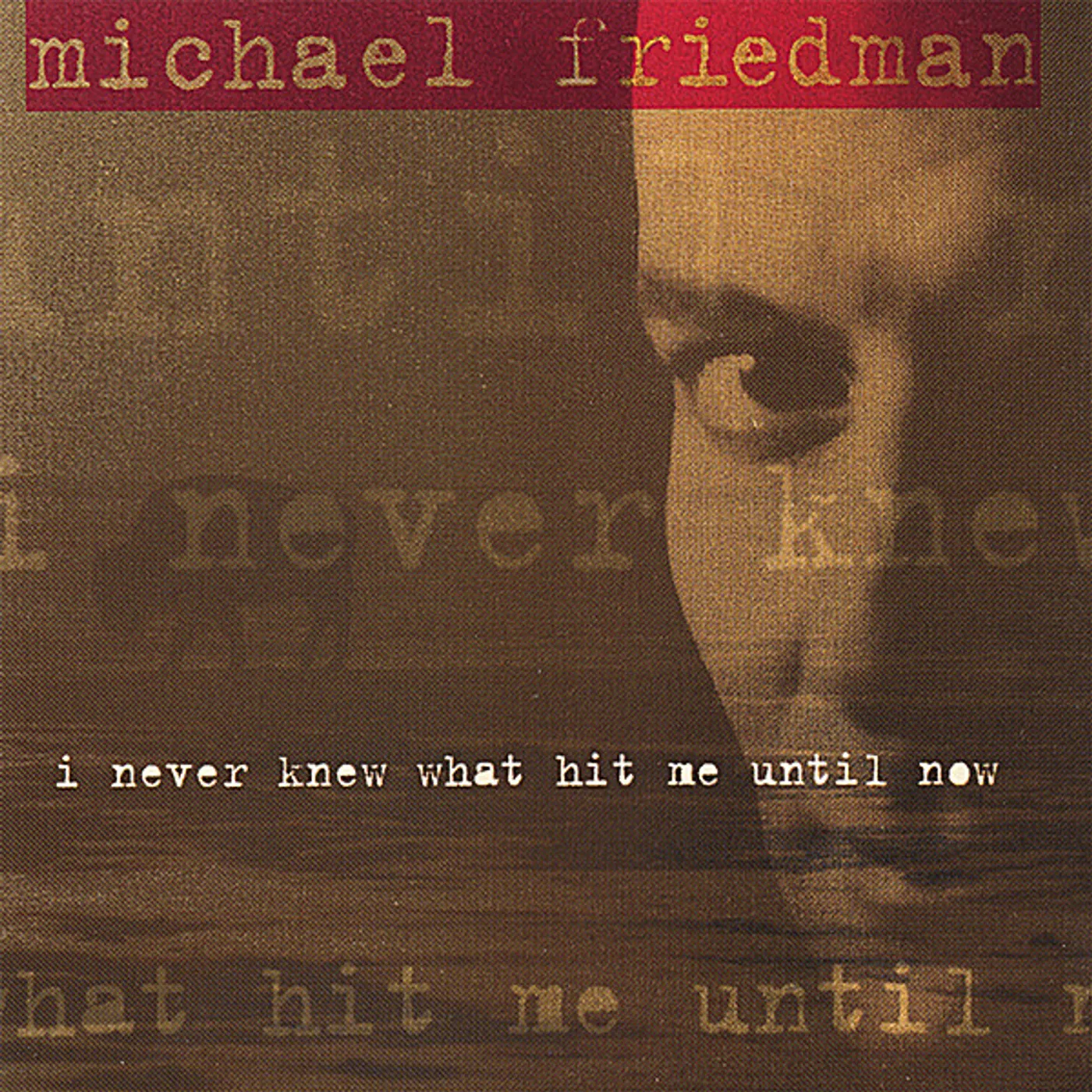 Michael Friedman I NEVER KNEW WHAT HIT ME UNTIL NOW CD