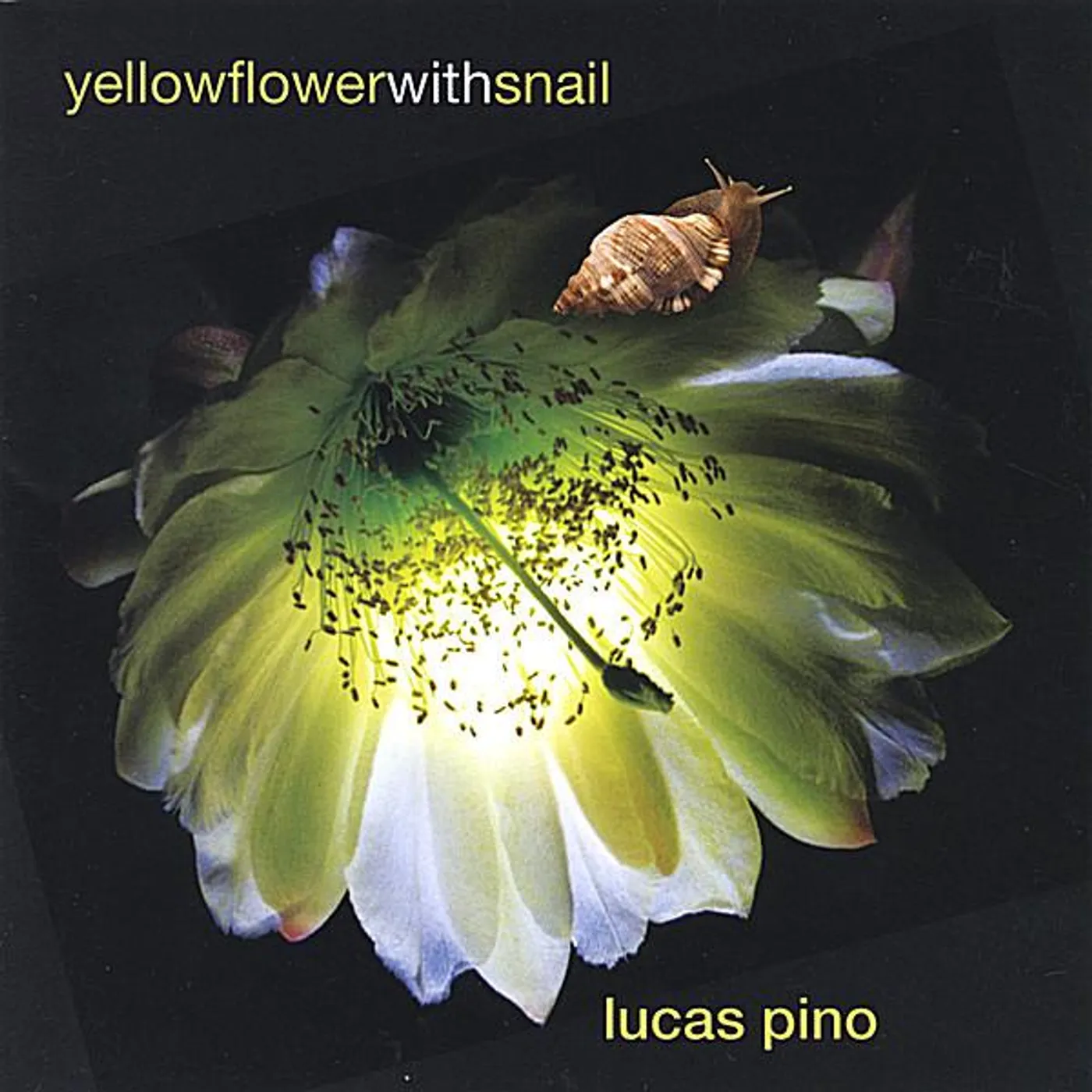 Lucas Pino YELLOW FLOWER WITH SNAIL CD