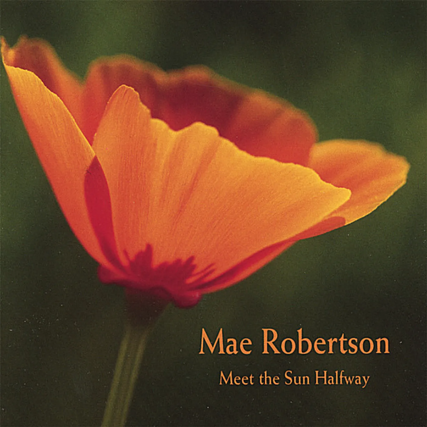 Mae Robertson MEET THE SUN HALFWAY CD