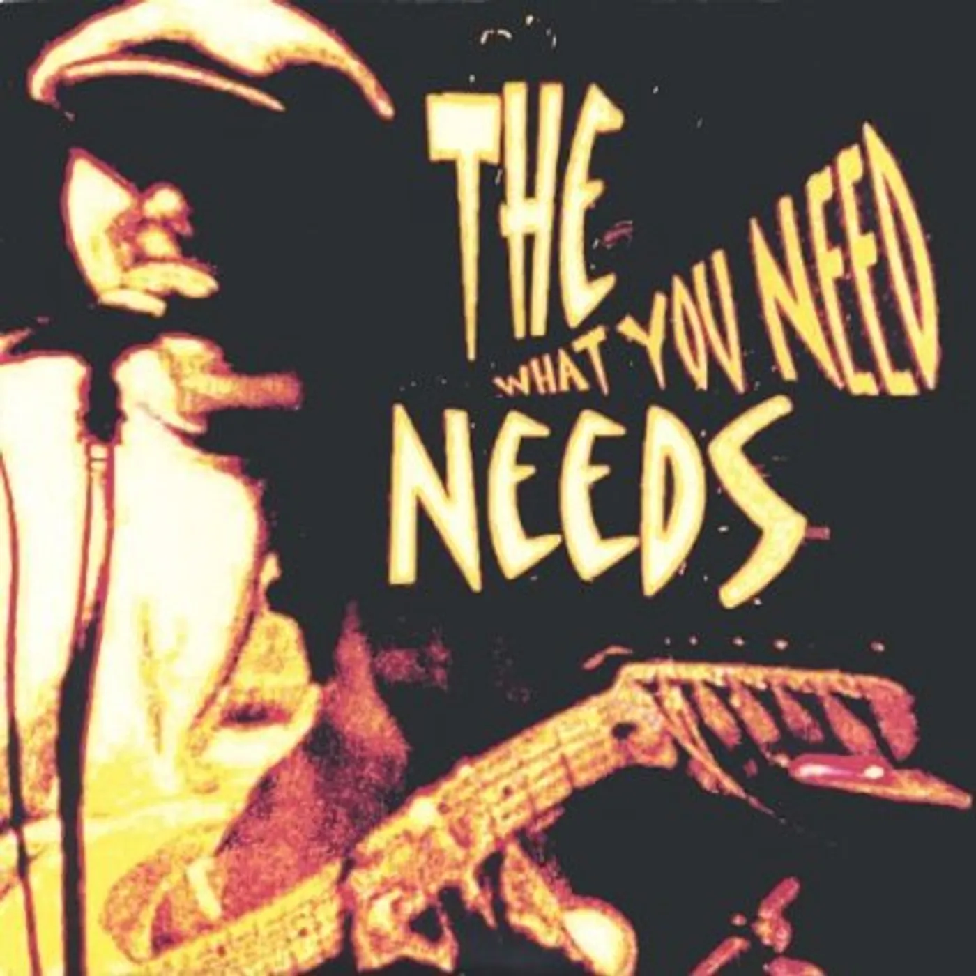 NEEDS WHAT YOU NEED CD