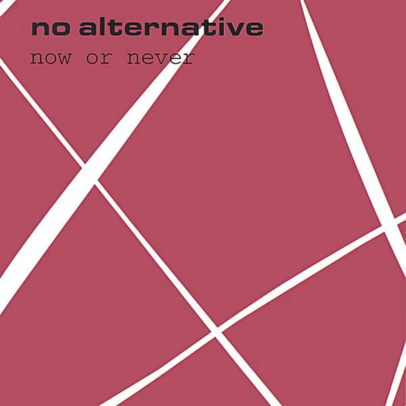 No Alternative NOW OR NEVER CD