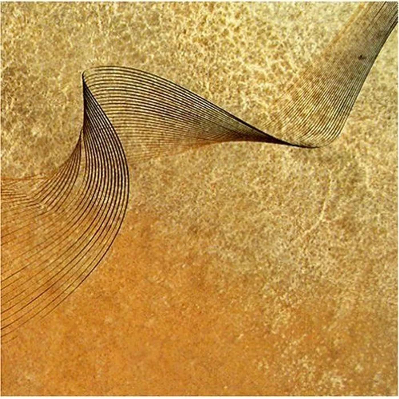 On Ensemble DUST & SAND CD