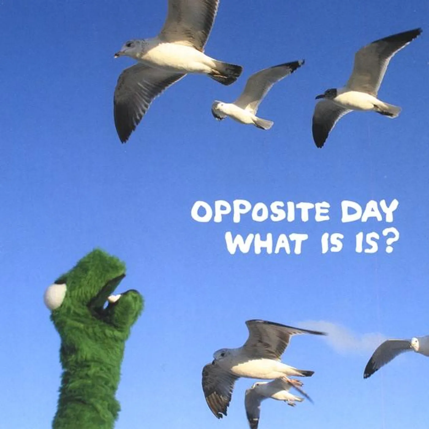 Opposite Day WHAT IS IS? CD