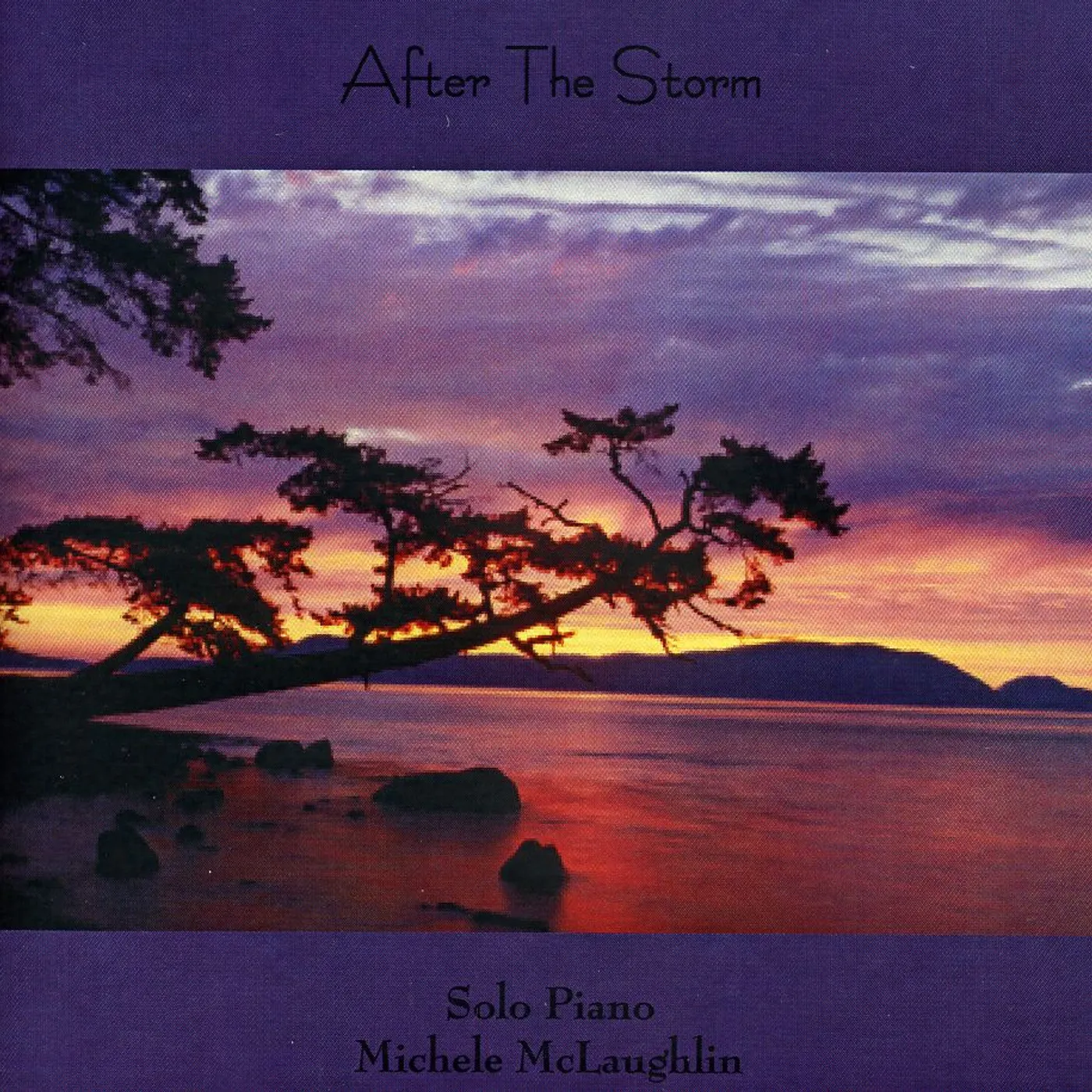 Michele McLaughlin AFTER THE STORM CD